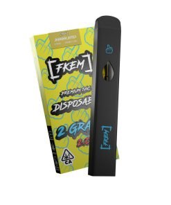 fkem disposable